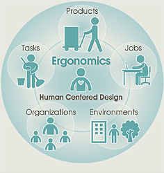 Areas ergonomics interacts 